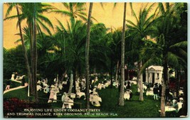 Enjoying Life Under Cocoanut Alberi Palma Spiaggia Florida Fl 1918 DB Cartolina - £7.97 GBP