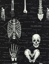 Timeless Treasures Glow in the Dark Skeleton Cotton Fabric Print by Yard D569.18 - £25.01 GBP