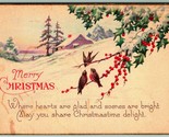 Merry Christmas Cabin Scene Holly Sparrows Poem 1925 DB Postcard I7 - $6.88