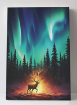 Northern lights (Aurora Borealis) Canvas Print Framed 16&quot; x 24&quot; Wall Art - £13.29 GBP