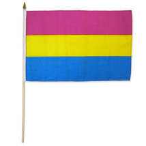 Pansexual 12&quot; x 18&quot; Flag - $4.10 CAD