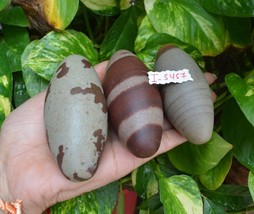 Shiva Lingam Stone Narmada River India Attrective &amp; Excellent LINGAM~I-5457 - £48.98 GBP