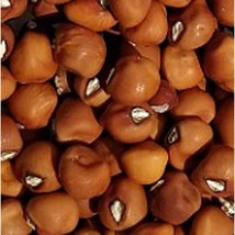 Hercules Cowpeas Seeds Gardening Easy Grow Usa Shipping - $8.48