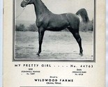Official Program 1949 American Saddle Horse Breeders Futurity of Texas - $122.08