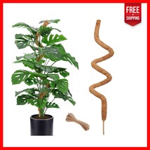 Stylish 60-Inch Bendable Plant Support Stake for Pothos &amp; Indoor Climbin... - $609.55 MXN