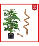 Stylish 60-Inch Bendable Plant Support Stake for Pothos &amp; Indoor Climbin... - $609.43 MXN