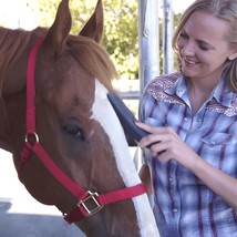 6 In 1 Dog Horse Grooming Shedding Massage Scrub Brush - $23.97