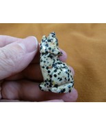 Y-COY-SI-567) spotted Jasper COYOTE gemstone carving FIGURINE baby gem C... - $14.01