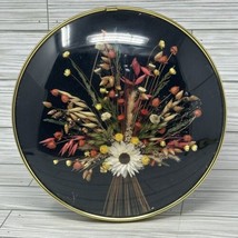 Vintage Dried Straw Flower Convex Glass Dome Frame BOHO Wall Art 8.5 Inch - £29.48 GBP