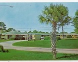 Gator Court Motel Postcard Gainesville Florida  - £7.78 GBP
