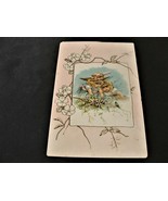 Victorian Ephemera- Girls and Nightingale, Flowers -1800s Trade Card. - £5.69 GBP