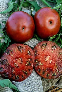 50 Seeds Sara Black Tomato Heirloom Vegetable Tomatoe Edible Fresh Garden - $9.32