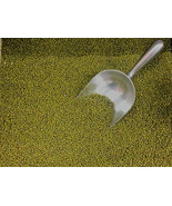 TeL MUNG BEAN SEEDS 250+ Sprouting Micro Greens OR Plant Gardening - £7.21 GBP