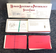 3&#39;&#39; x 5&#39;&#39; - Two Sided Study Cards for Human Anatomy and Physiology - £7.86 GBP