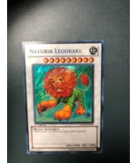Naturia Leodrake - HA02-EN058 - Mint - 1st Edition - Yugioh TCG - $109.90 MXN