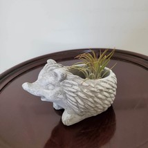 Cement Hedgehog Planter with Air Plant, Animal Succulent Planter Airplan... - $17.99