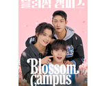 Blossom Campus (2024) Korean BL Drama - £38.45 GBP