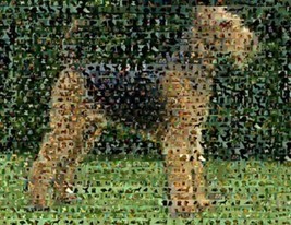 Amazing Airedale Terrier Dog Montage 1 of only 25 w/COA - £9.34 GBP