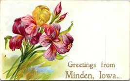 Greetings From Minden Iowa Purple Flowers 1907-1915 Embossed Vintage Postcard - £7.51 GBP