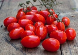 BEST 50 Seeds Easy To Grow Datterino Tomato Vegetable Tomatoes - $10.00