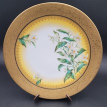 Antique Pitkin &amp; Brooks T.V. Limoges &quot;Orange Blossoms&quot; Cabinet Plate Hea... - £70.08 GBP