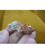 (Y-LIZ-HL-15) baby red tan Horned LIZARD carving SOAPSTONE Peru FIGURINE... - €7,32 EUR