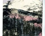 Mount Hood Oregon Hand Colored Unused Undivided Back Postcard - $11.88