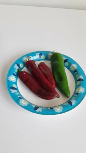 100 Anaheim Chili Pepper Seeds Hot Non-Gmo Open Pollinated - £5.47 GBP