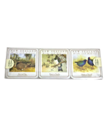 New Zealand Coasters Set NEW 6 Birds and Habitat Coasters Kiwi World - €16,83 EUR