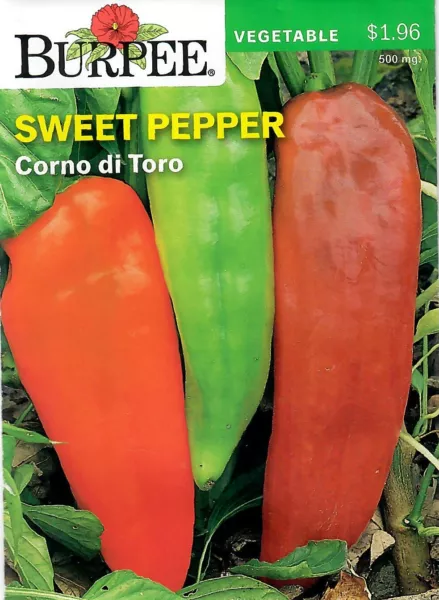 Pepper Corno Di Toro Vegetable Seeds Non Gmo Burpee 11/21 Fresh New - £42.34 GBP