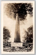 Grayling Michigan The Monarch Tree Memorial Park Real Photo Postcard B31 - $7.95