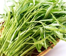 Ong Choy Water Spinach 300 Seeds Fresh Garden - £10.58 GBP