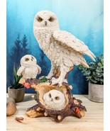 Ebros White Owl Perching On Tree Branch With Baby Owlets Statue 12&quot;Tall - €42,03 EUR