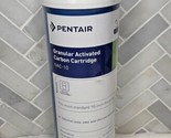 PENTAIR GAC-10 Granular Activated Carbon Carbon Drinking Water Filter Ne... - £15.78 GBP
