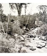 Somerset County Brook And Moss Maine 1924 Gravure Print New England DWT8B - €17,28 EUR