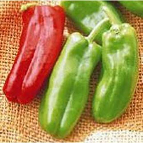 PM Giant Marconi Sweet Peppers Seeds (20+ Seeds) | Non GMO | Vegetable F... - $3.98