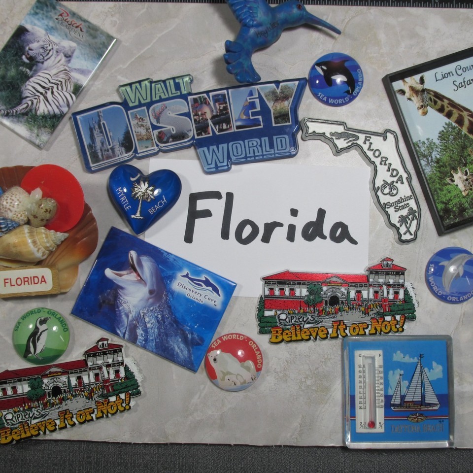 Florida State Refrigerator Fridge Magnet Souvenir Vintage - You Pick - $3.91+
