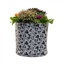 Mickey &amp; Minnie Mouse Fabric Eco-Pot (Small) - Grey - £26.12 GBP
