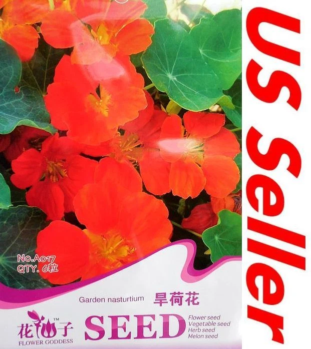 6 PCS Garden Nasturtium Tropaeolum Dry Lotus Seed B80 Perennial Flower U... - $14.41