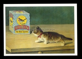 ad4163 - Robin the new Starch - Kitten stalks the Bird - Modern Advert postcard - £1.99 GBP