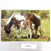 Vintage 1960s Postcard Mother &amp; Son Dartmoor Ponies Jarrold &amp; Sons Devon... - $12.91