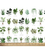Plant names cotton fabric-David Textiles- BTY - $12.98