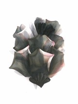 18 Vintage Organza Hat Making Flowers Variegated Pink &amp; Black Unused - $738.14 MXN