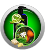Spice of Life™ Body Massage Oil - €21,39 EUR+