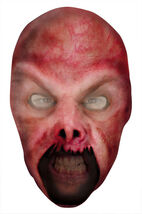 SKINNED ALIVE FIRE DEMON FULL NYLON MASK ADULT HALLOWEEN COSTUME ACCESSORY - $7.80