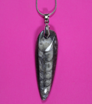 Authentic Orthoceros Necklace Fossil 500 Million Years Old Dinosaur Girl... - $41.13 CAD