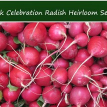 USA Seller Fresh Vegetable Seeds Pink Celebration Radish 100 Seeds Garden - $19.36