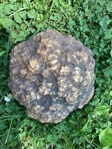 16 Lb + Indiana Geode  Crystals , minerals,fossil   Intact Jewelry Lapidary - $101.72