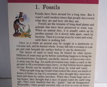 1978 Walt Disney&#39;s Fun &amp; Facts Flashcard #DDF6-1: Fossils - $2.00