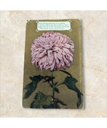 Get Well Postcard Purple Flower Antique 1911 Hilda Klassen Lehigh Kansas... - $34.20 CAD